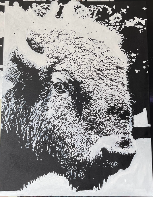 Buffalo Solider